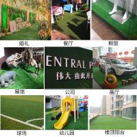 uploads/erp/collection/images/Home Garden/CongDing/XU0612336/img_b/XU0612336_img_b_4